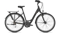 Raleigh Chester 21 Wave