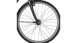 Raleigh Chester 21 Wave -FahrradStil Sparshop az 0214476 3500 4