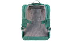 Deuter Pico Kinderrucksack 16 Deuter Pico Kinderrucksack -FahrradStil Sparshop az Deuter Pico Kinderrucksack 3 dustbluealpinegreen 220716