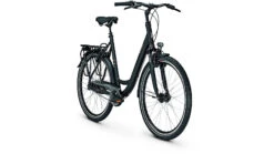 Raleigh Chester 8 XXL Wave